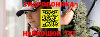 apvp Заволжье