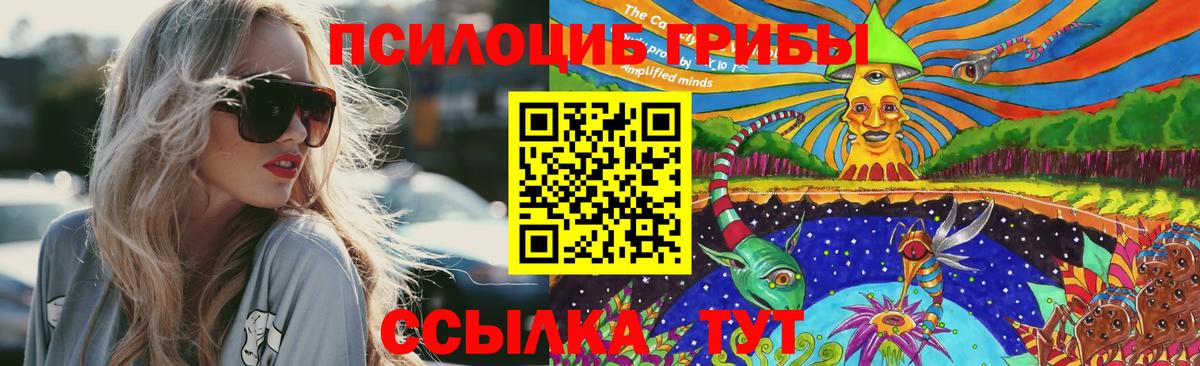 Таганрог  Галлюциногенные грибы мухоморы  Вход с VPN 
